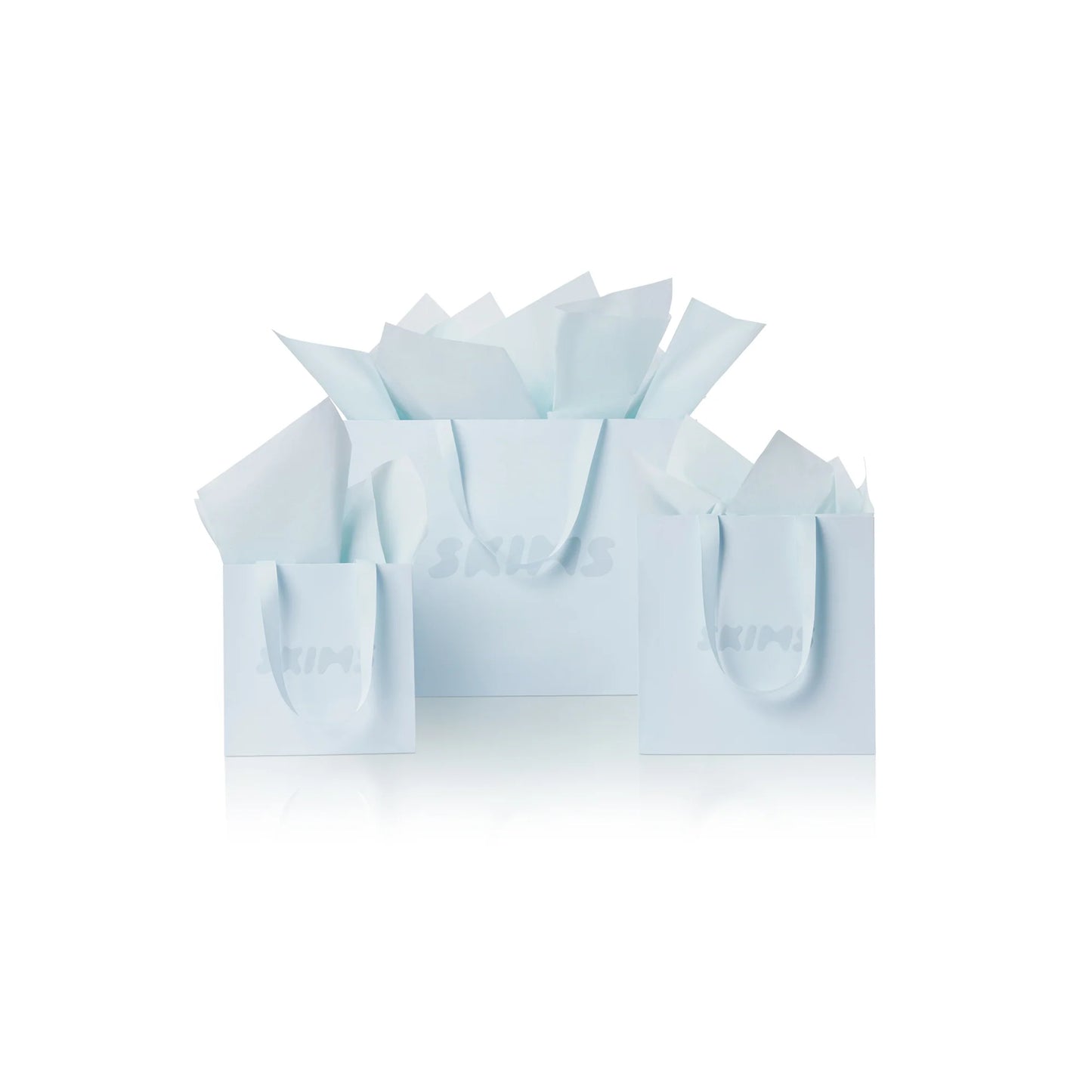 GIFT BAG | BABY BLUE