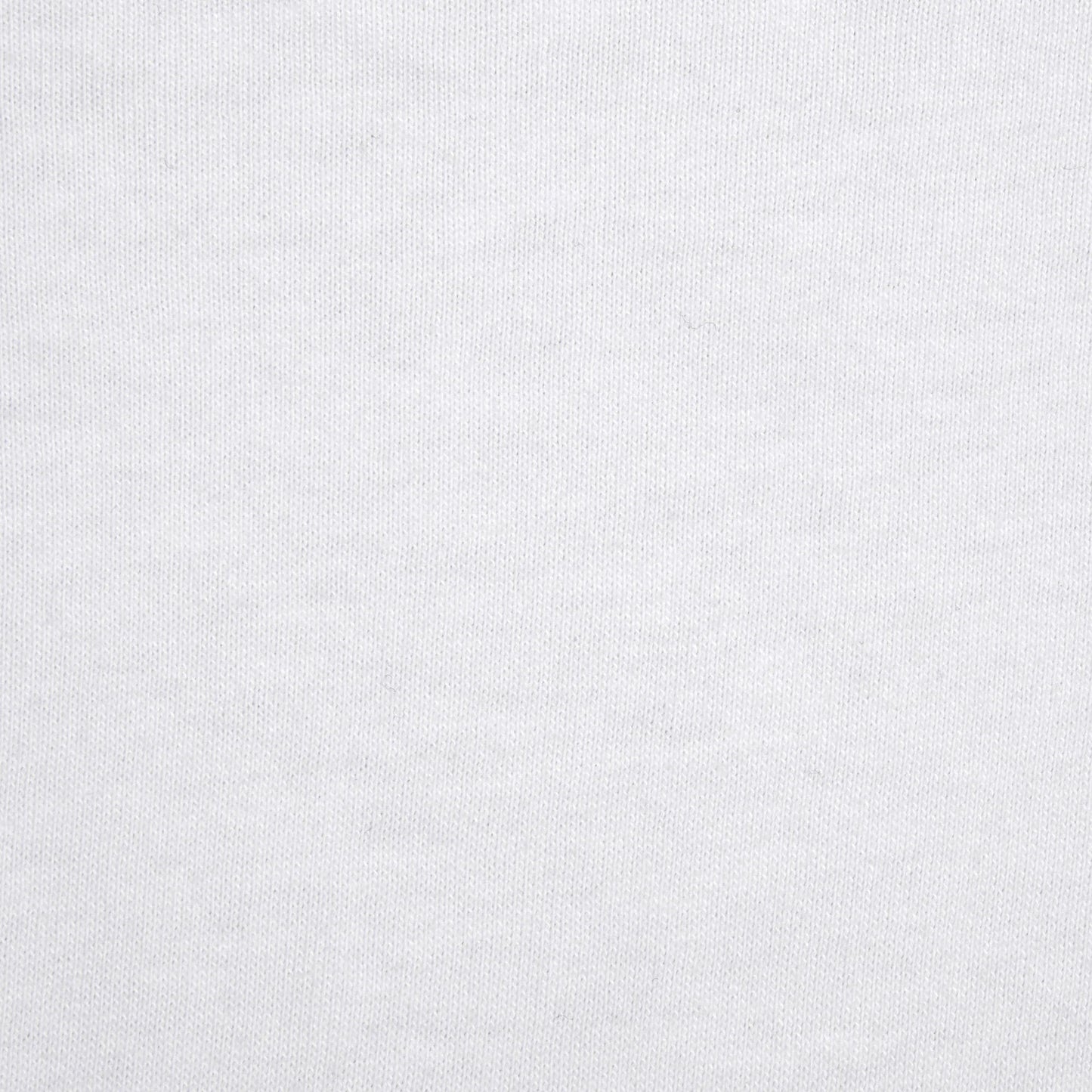 SKIMS COTTON MENS CLASSIC T-SHIRT | CHALK