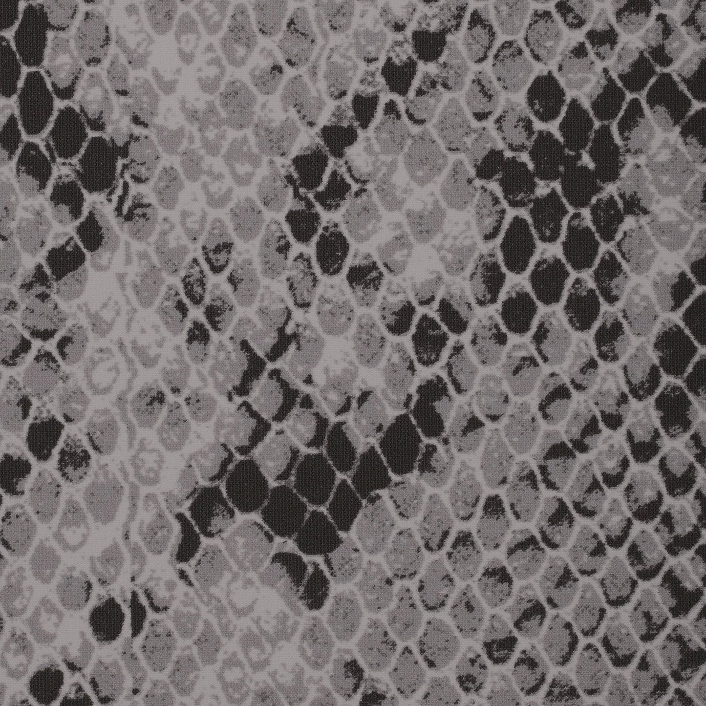 FITS EVERYBODY T-SHIRT | SHADOW SNAKE PRINT