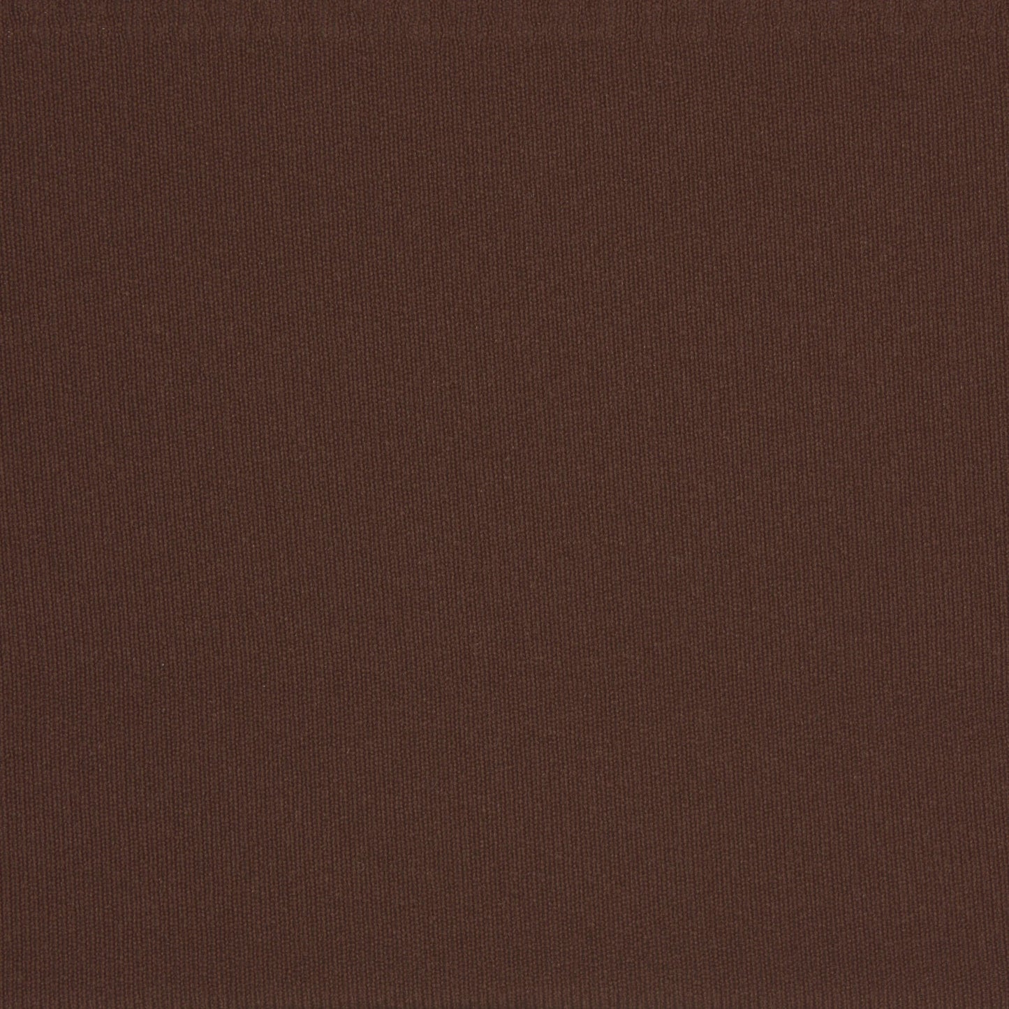 NAKED BIKINI | COCOA