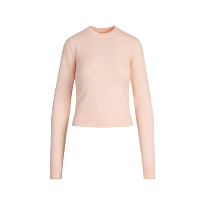 SWEATER KNITS RIBBED LONG SLEEVE FITTED CREW NECK | PRIMROSE