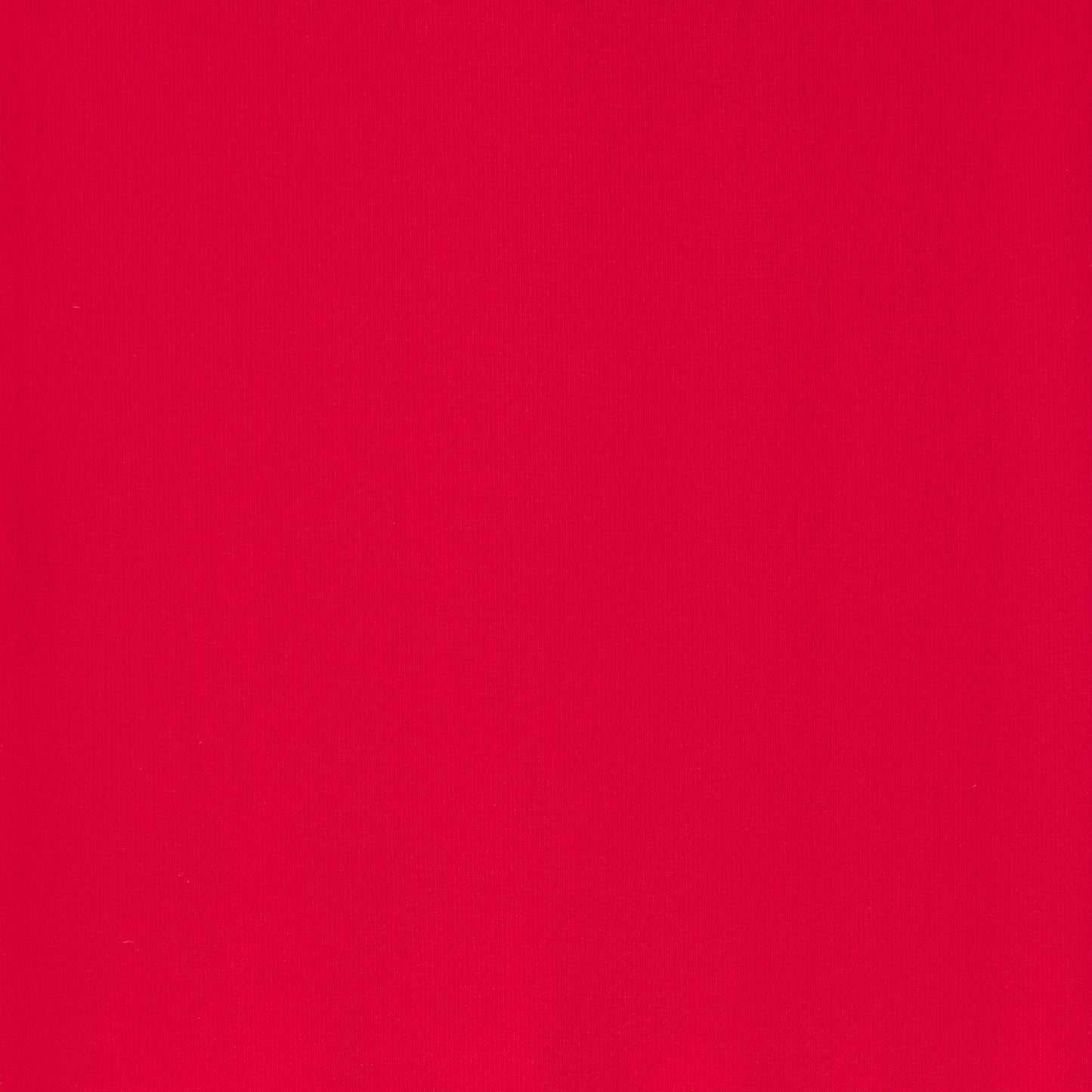 HOSIERY THIGH HIGH STOCKINGS | RUBY
